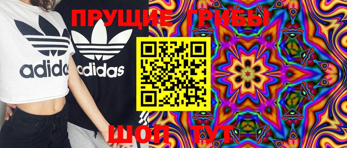 Владивосток  Псилоцибиновые грибы MAGIC MUSHROOMS  Вход с VPN  Псилоцибиновые грибы мицелий 