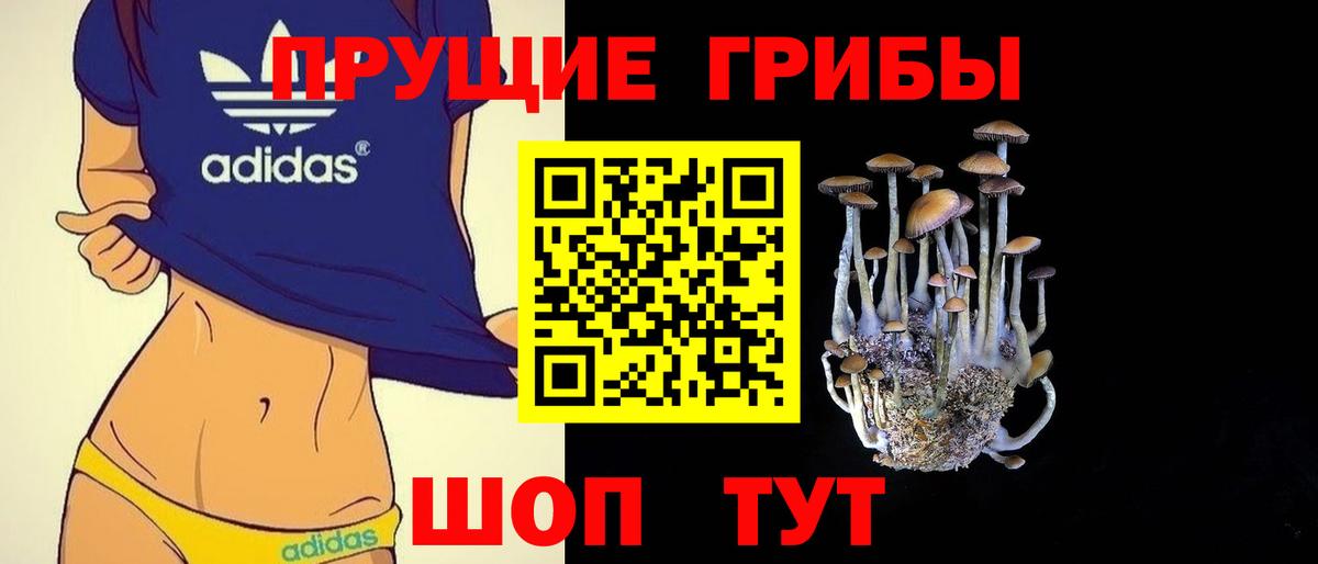 Псилоцибиновые грибы GOLDEN TEACHER Владивосток
